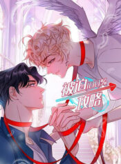 Forced Strategy 100%