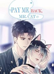 Pay Me Back, Mr. Cat