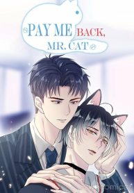 Pay Me Back, Mr. Cat